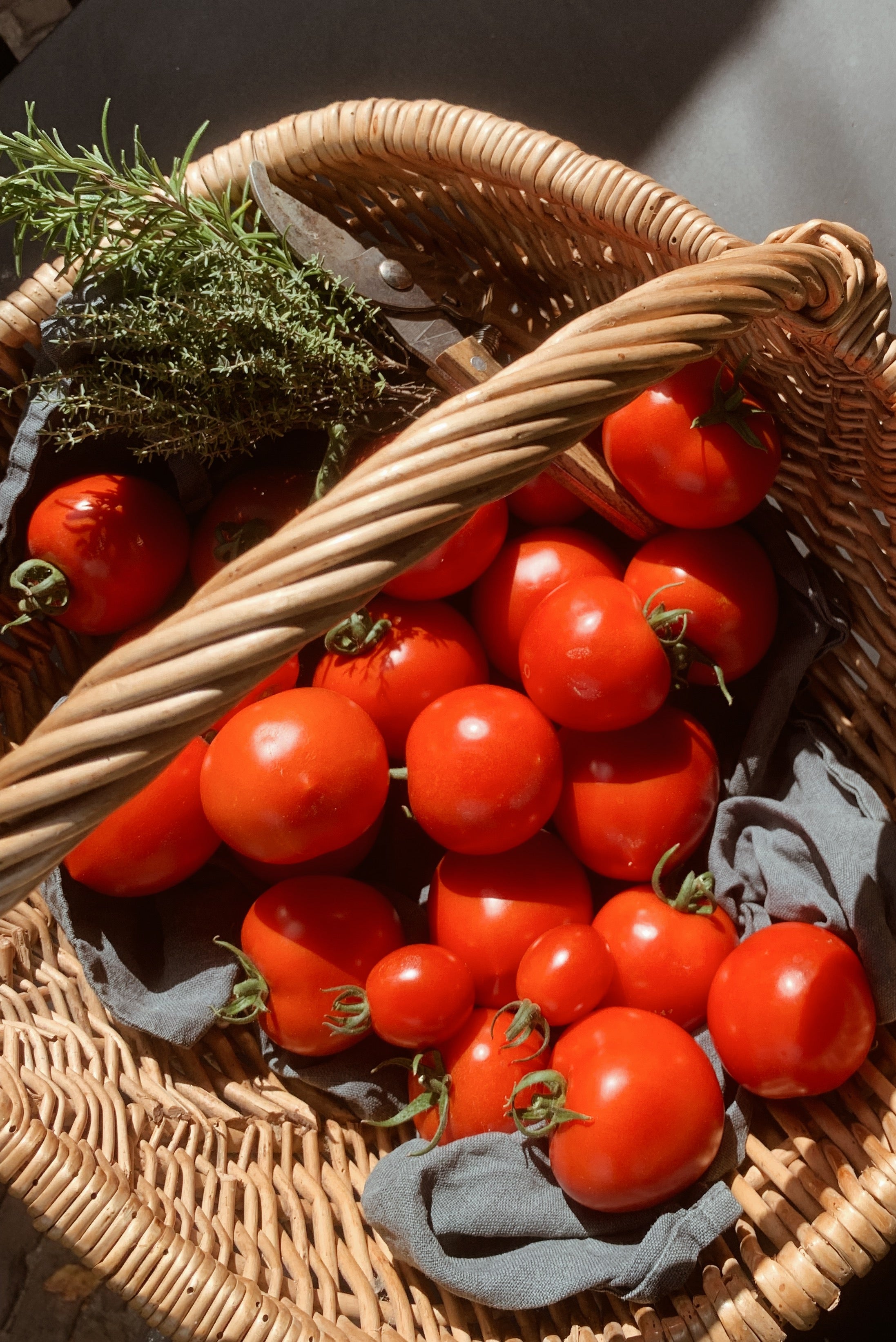 Tomaten broodsalade met ansjovis en kappertjes uit Simpel van Yotam Ottolenghi