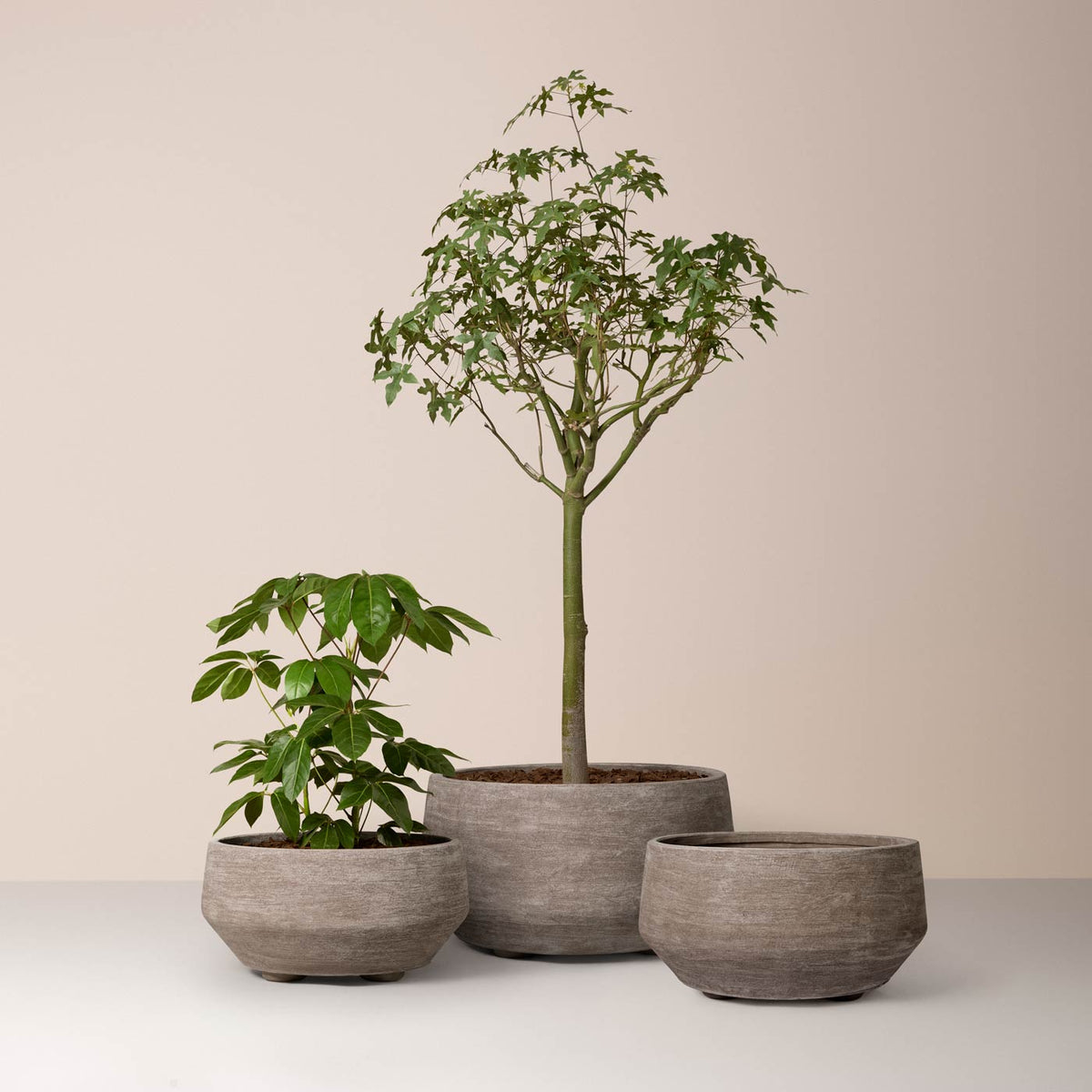 Bergs Potter Doma Grey Terracotta – The Slow Store – sfeerbeeld 1