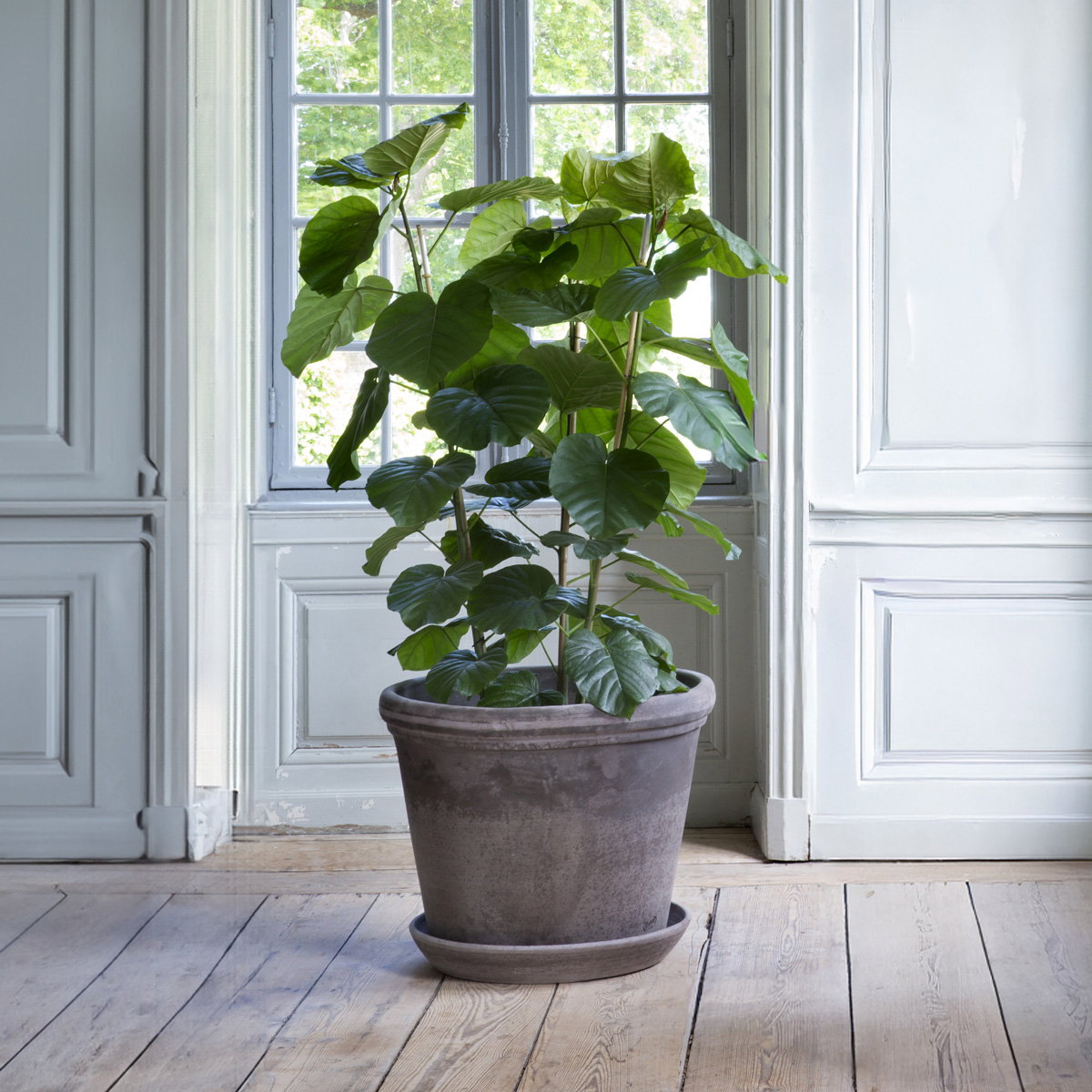 Bergs Potter Large Flora Grey Terracotta – The Slow Store – sfeerbeeld 1