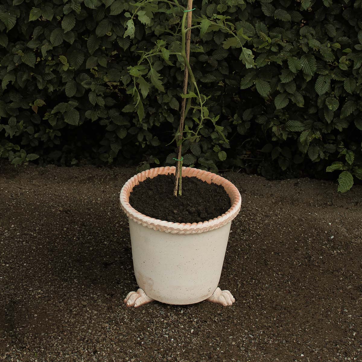 Bergs Potter Lion Paw Pot Feet Rosa Terracotta – The Slow Store – sfeerbeeld 1