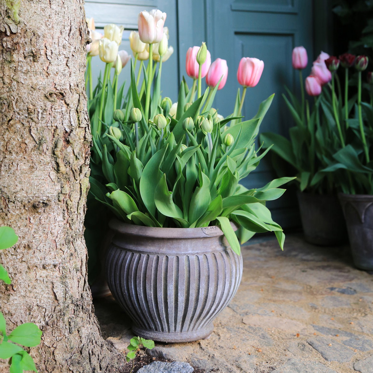 Bergs Potter Piccolina Grey Terracotta – The Slow Store – sfeerbeeld 2