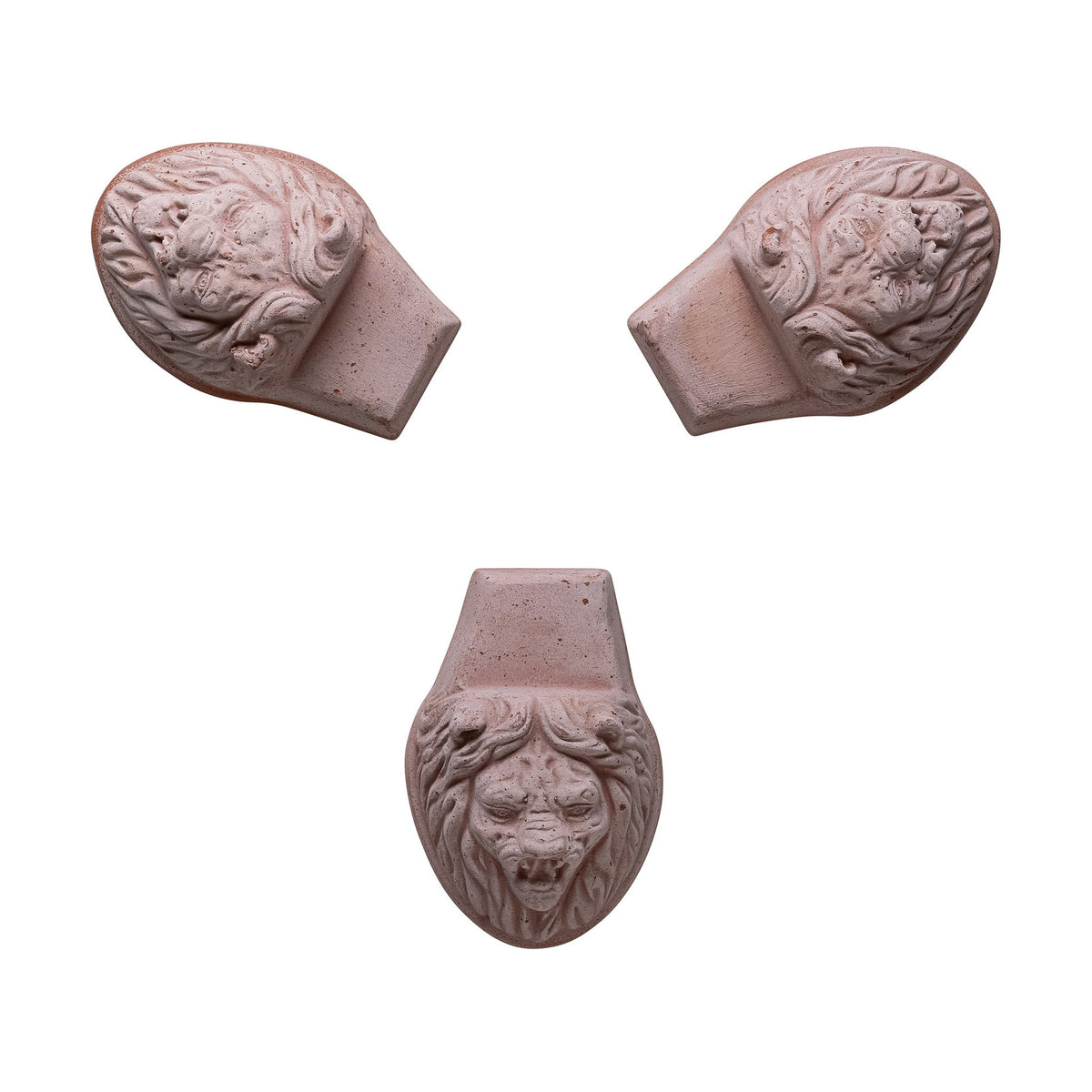 Bergs Potter Lion Head Pot Feet Rosa Terracotta – The Slow Store